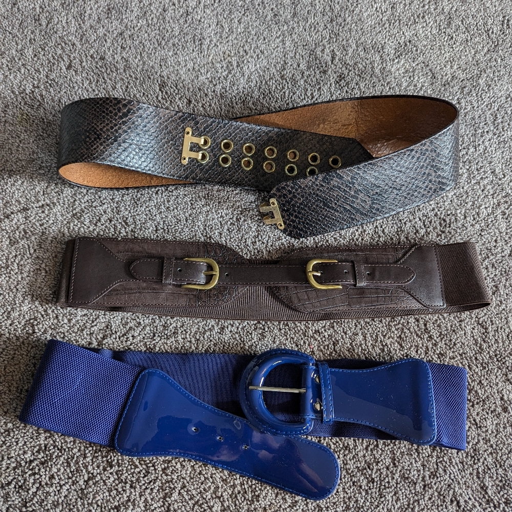 Three Statement Belts - image 1